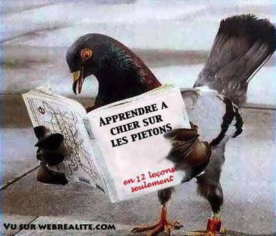 Pour les premiers